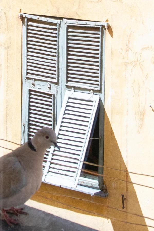 26 Vieux Appartement